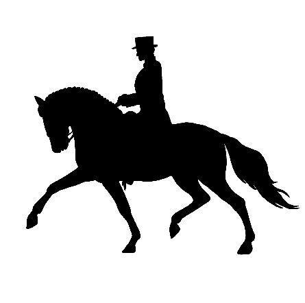 hoof armor_Dressage