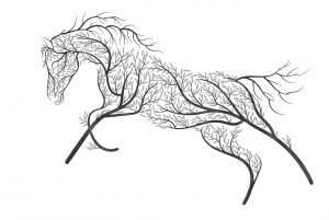 hoof armor_environments horse